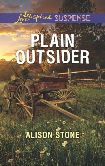 Plain Outsider - Alison Stone
