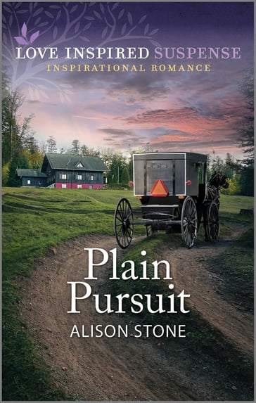 Plain Pursuit - Alison Stone