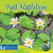 Plant Adaptations