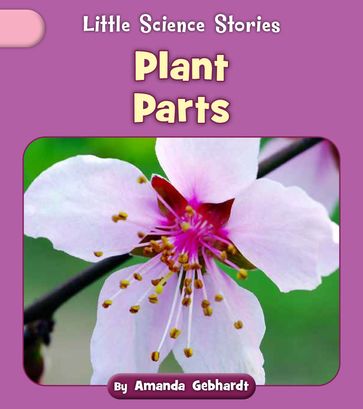 Plant Parts - Amanda Gebhardt