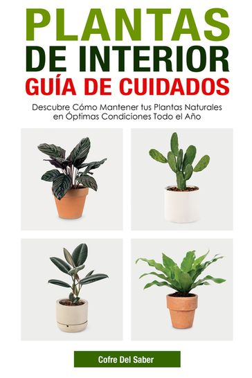 Plantas de Interior Guía de Cuidados: Descubre Cómo Mantener tus Plantas Naturales en Óptimas Condiciones Todo el Año - Cofre Saber