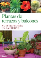 Plantas de terrazas y balcones