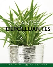 Plantes dépolluantes