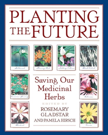 Planting the Future - Pamela Hirsch - Rosemary Gladstar