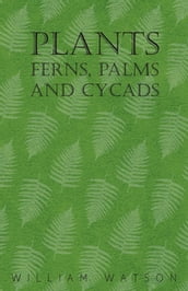 Plants - Ferns, Palms and Cycads