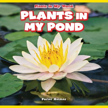 Plants in My Pond - Porter Holmes