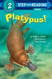 Platypus!