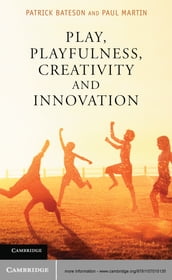 Play, Playfulness, Creativity and Innovation