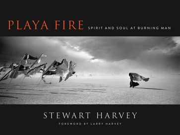 Playa Fire - Stewart Harvey