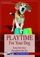 Playtime for your dog