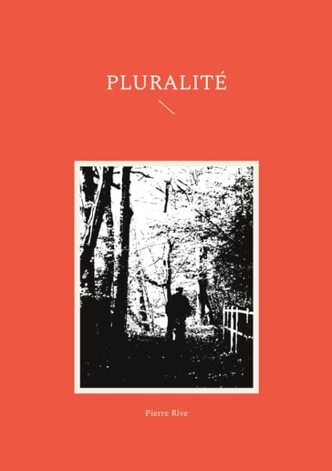 Pluralité - Pierre Rive
