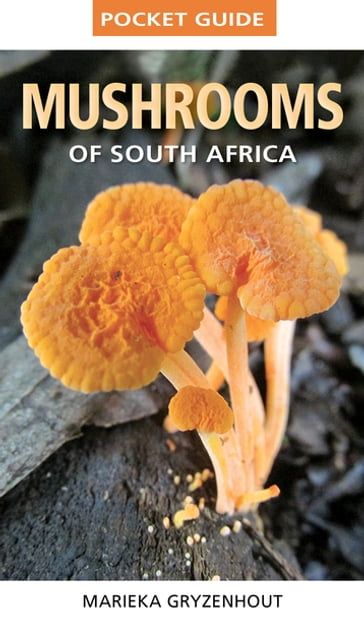 Pocket Guide Mushrooms of South Africa - Marieka Gryzenhout