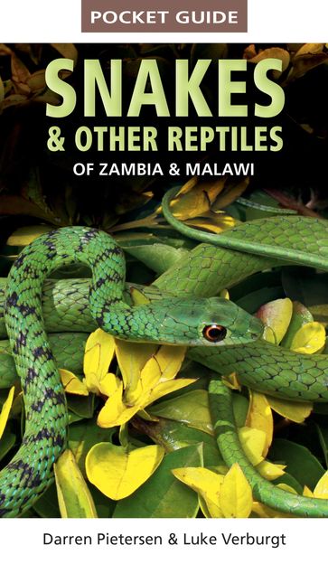 Pocket Guide Snakes & Other Reptiles of Zambia & Malawi - Darren Pietersen - Luke Verburgt
