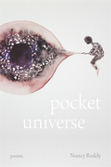 Pocket Universe - Nancy Reddy