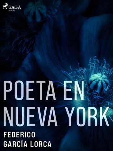 Poeta en Nueva York - Federico Garcia Lorca