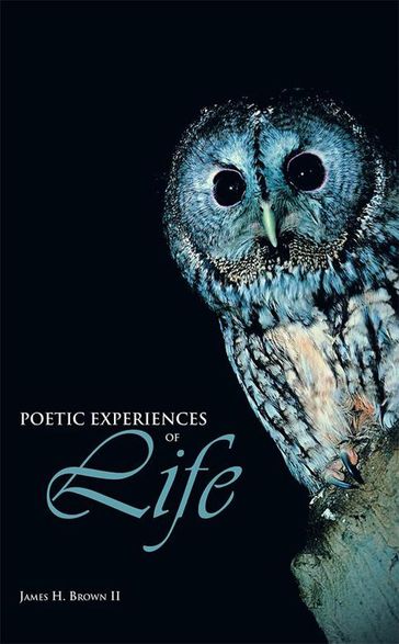 Poetic Experiences of Life - James H. Brown II