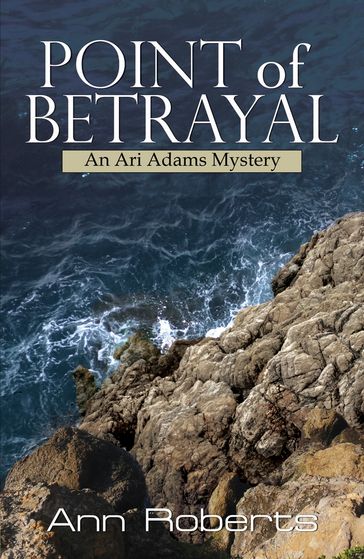 Point of Betrayal - Ann Roberts
