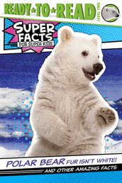 Polar Bear Fur Isn t White!