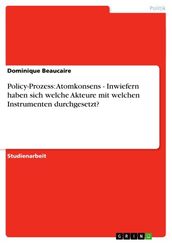 Policy-Prozess: Atomkonsens - Inwiefern haben sich welche Akteure mit welchen Instrumenten durchgesetzt?