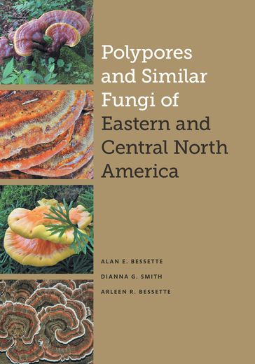 Polypores and Similar Fungi of Eastern and Central North America - Alan E. Bessette - Arleen R. Bessette - Dianna Smith
