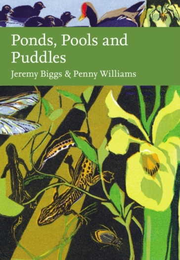 Ponds, Pools and Puddles - Jeremy Biggs - Penny Williams