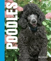 Your Poodle