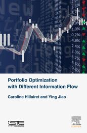 Portfolio Optimization with Different Information Flow