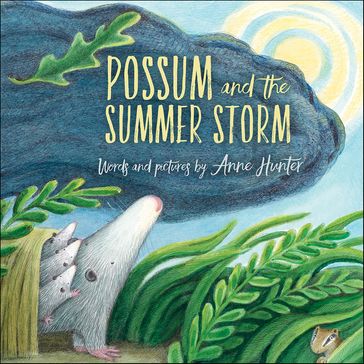 Possum and the Summer Storm - Anne Hunter