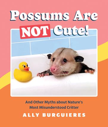 Possums Are Not Cute! - Ally Burguieres