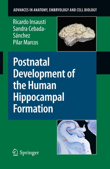 Postnatal Development of the Human Hippocampal Formation - Ricardo Insausti - Sandra Cebada-Sánchez - Pilar Marcos