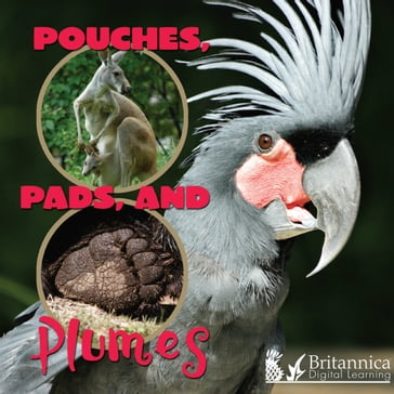 Pouches, Pads, and Plumes - Lynn Stone