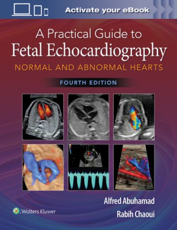 A Practical Guide to Fetal Echocardiography - Alfred Z. Abuhamad - Rabih Chaoui