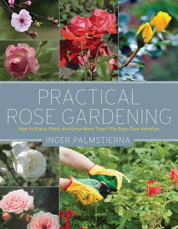 Practical Rose Gardening - Inger Palmstierna