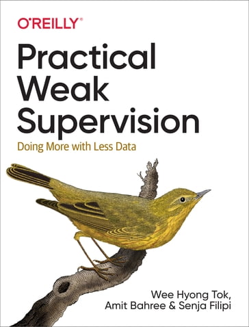 Practical Weak Supervision - Amit Bahree - Senja Filipi - Wee Hyong Tok