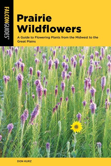 Prairie Wildflowers - Don Kurz