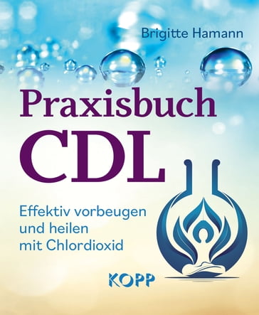 Praxisbuch CDL - Brigitte Hamann