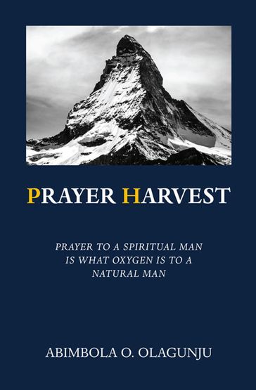 Prayer Harvest - Abimbola Olagunju