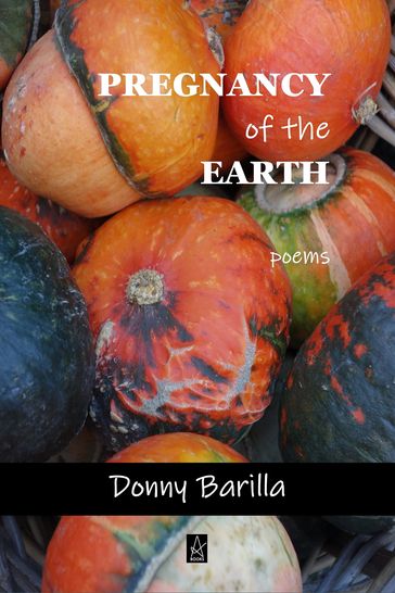 Pregnancy of the Earth - Donny Barilla