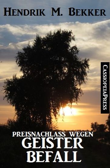 Preisnachlass wegen Geisterbefall - Hendrik M. Bekker