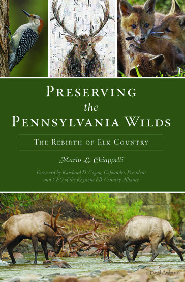 Preserving the Pennsylvania Wilds - Mario Chiappelli