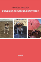 Prevenire, prevedere, provvedere