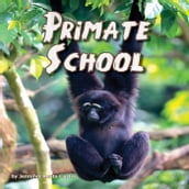 Primate School