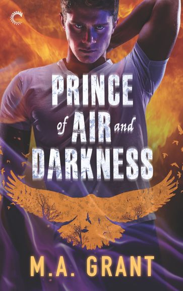 Prince of Air and Darkness - M.A. Grant