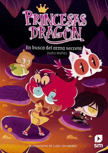 Princesas Dragón 13: En busca del arma secreta - Pedro Mañas Romero