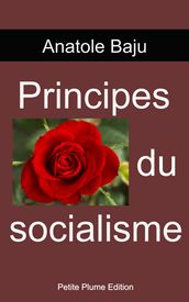 Principes du socialisme