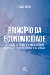 Princípio da Economicidade