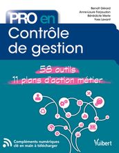 Pro en Contrôle de gestion