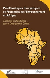 Problématiques Energétiques et Protection de l Environnement en Afrique: Contraintes et Opportunités pour un Développement Durable