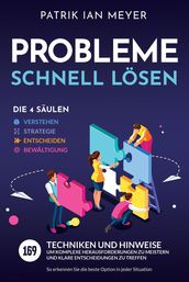 Probleme schnell lösen  Die 4 Säulen: 169 Techniken und Hinweise, um komplexe Herausforderungen zu meistern und klare Entscheidungen zu treffen. So erkennen Sie die beste Option in jeder Situation