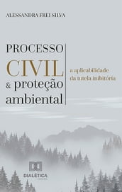 Processo civil e proteção ambiental